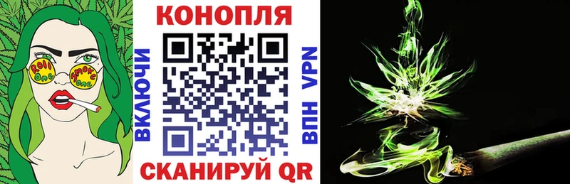 МАРИХУАНА ГИДРОПОН  сколько стоит  Павловская 